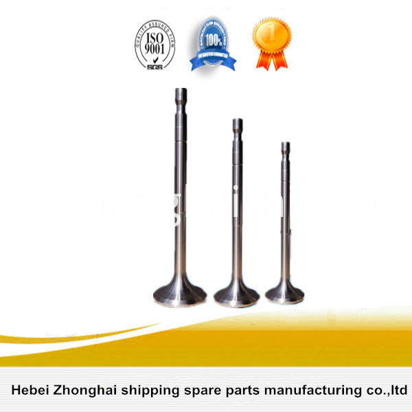 Injap enjin SKL NVD26 SKL NVD26 Engine Valve